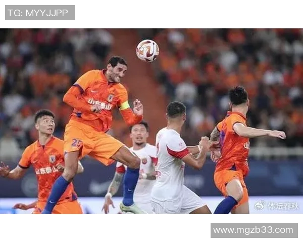 南京排球队技术争议引发热议球迷与专家各执己见探讨战术选择